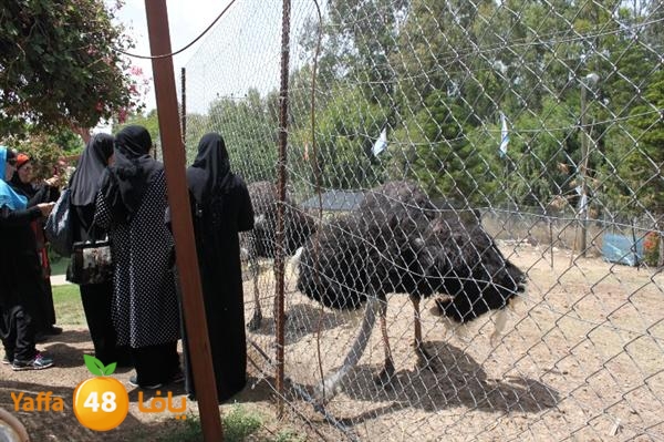 re7la mo2asaasa 0521 (128).JPG